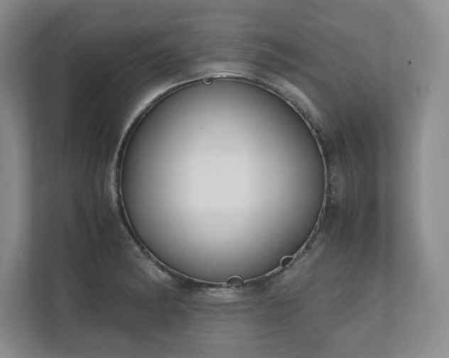 X0000110771182200906221136