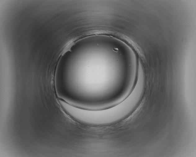 X0000110771185200906221136