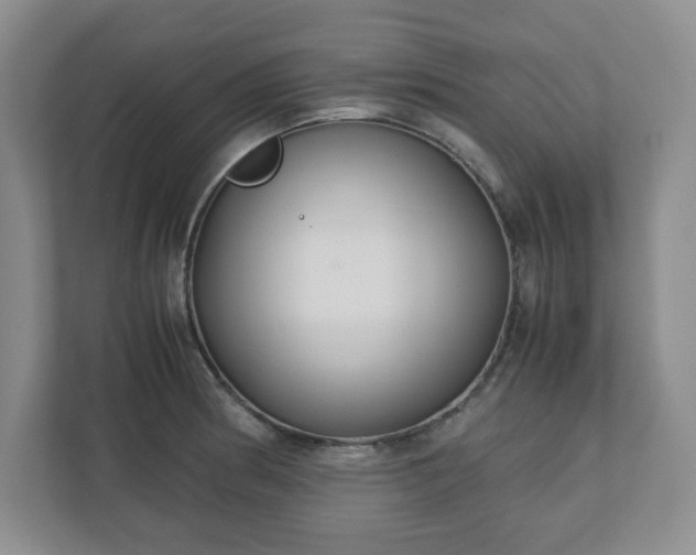 X0000110771186200906221136