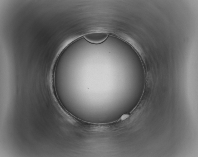 X0000110771187200906221136