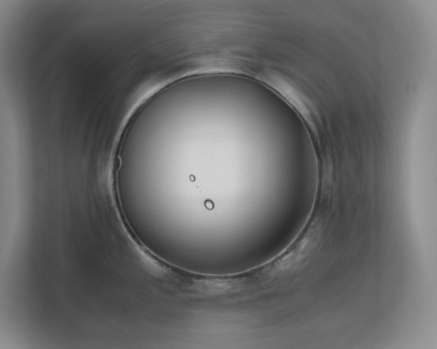 X0000110771197200906221136