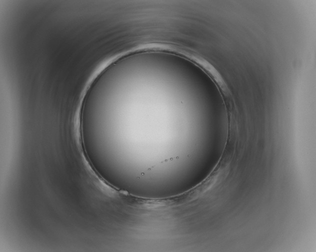 X0000110771199200906221136