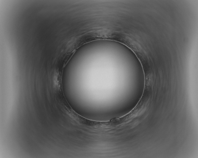 X0000110771202200906221135