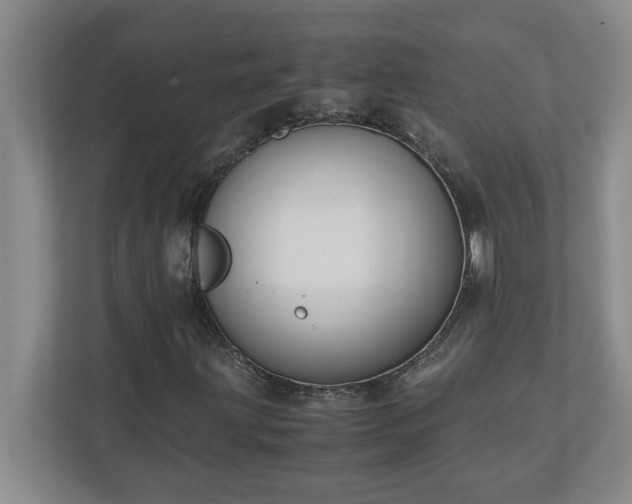 X0000110771203200906221135