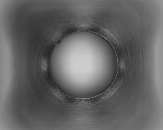 X0000110771204200906221135