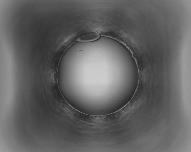 X0000110771205200906221135