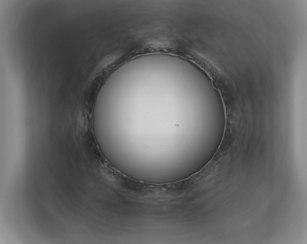 X0000110771207200906221135