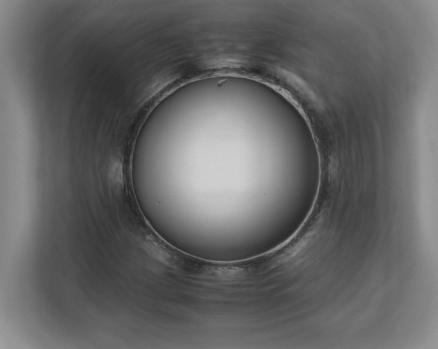 X0000110771209200906221135