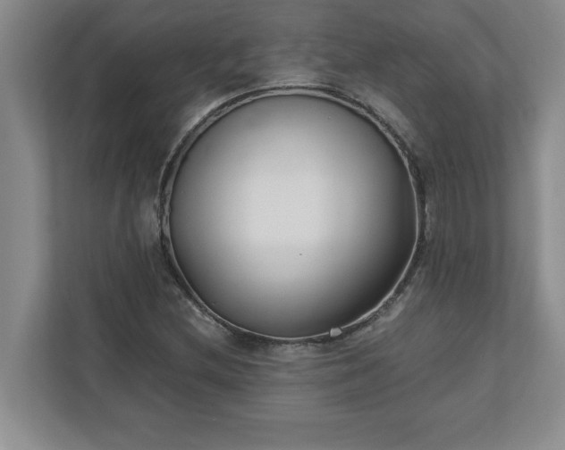 X0000110771212200906221135