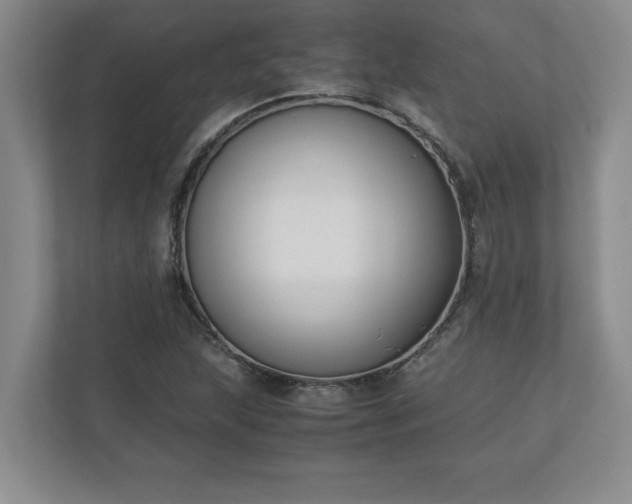 X0000110771215200906221135