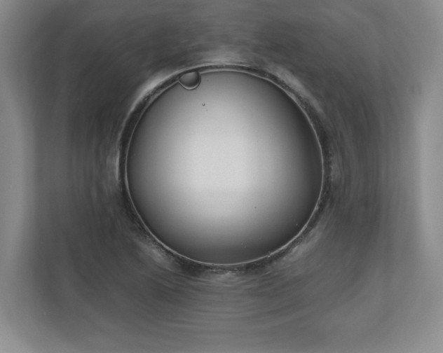 X0000110771222200906221135