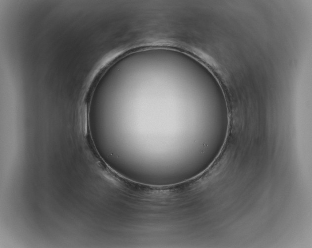 X0000110771223200906221135