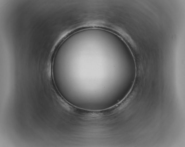 X0000110771224200906221135