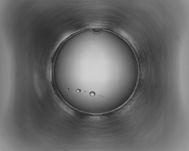 X0000110771227200906221135