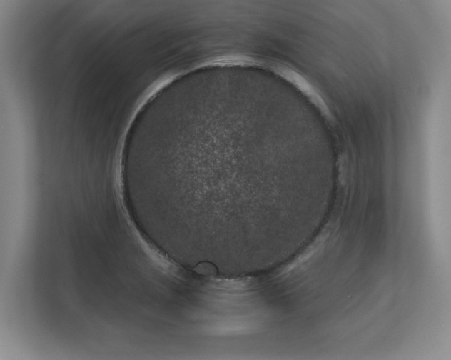 X0000110771229200906221135