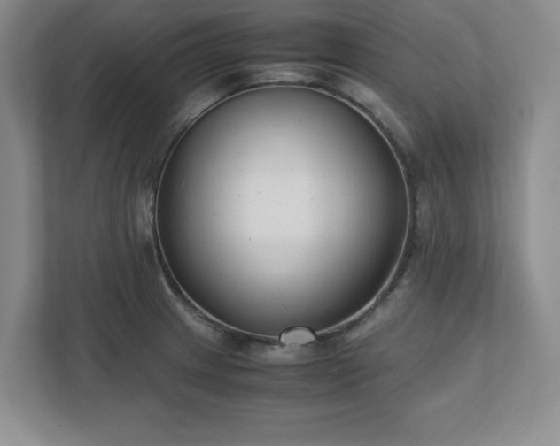 X0000110771233200906221135