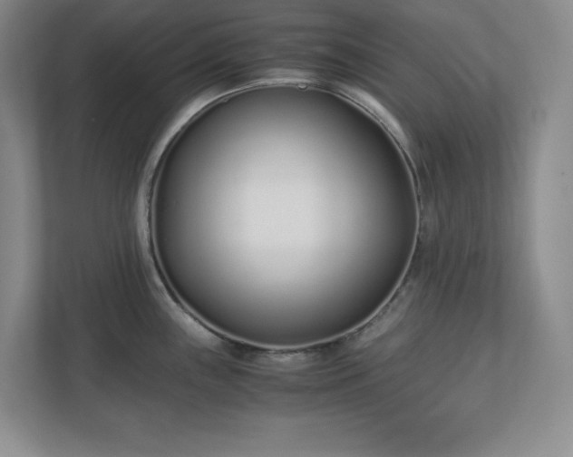 X0000110771243200906221136