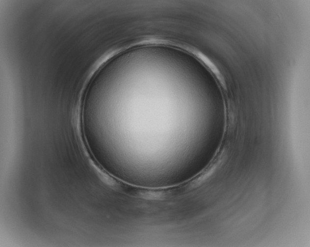 X0000110771245200906221136