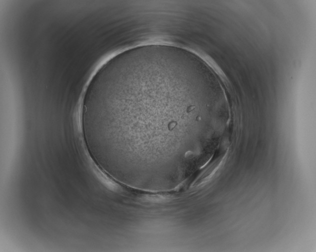 X0000110771246200906221136