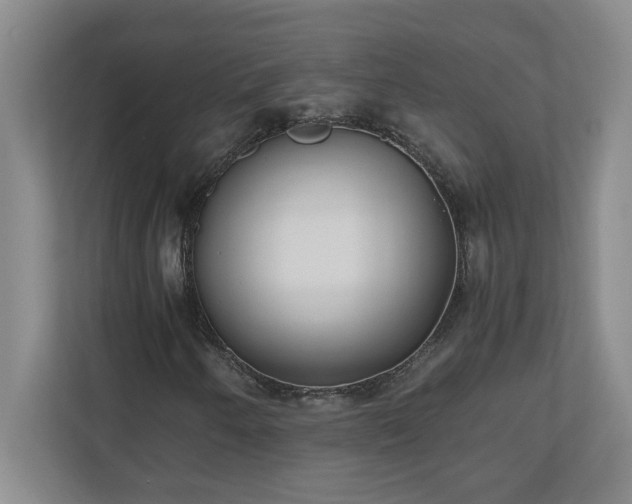 X0000110771250200906221135