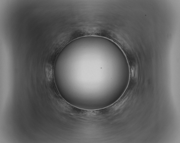 X0000110771251200906221135