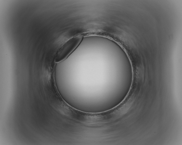 X0000110771257200906221135