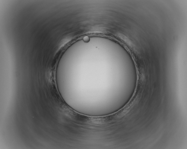 X0000110771258200906221135