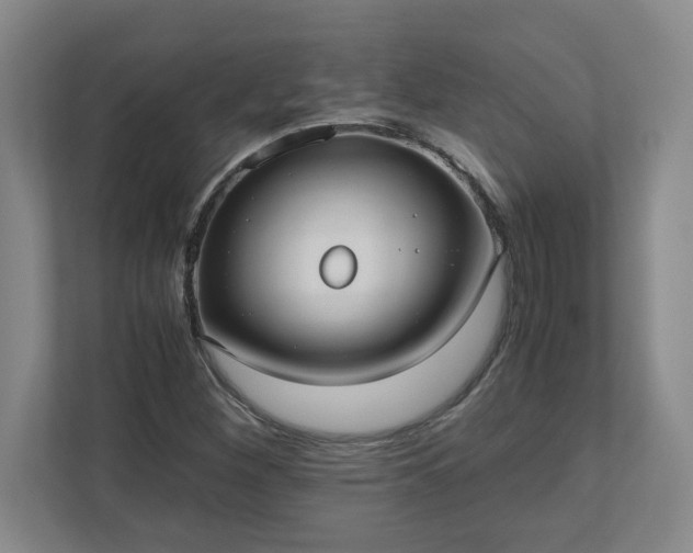 X0000110771260200906221135