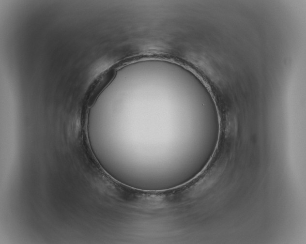 X0000110771261200906221135