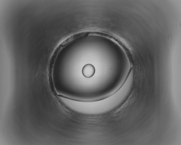 X0000110771264200906221135