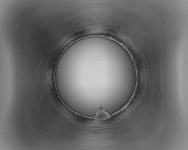 X0000110771265200906221135