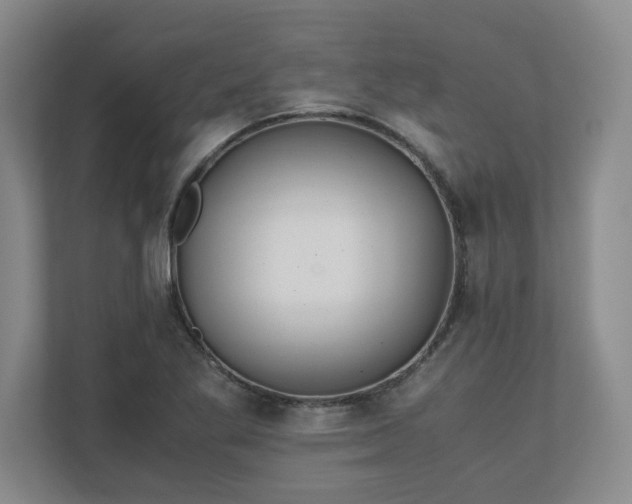 X0000110771269200906221135