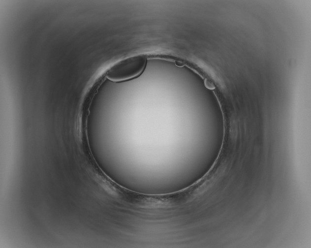 X0000110771270200906221135