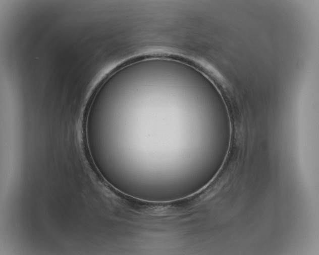 X0000110771279200906221135