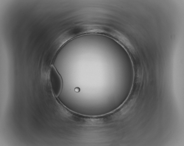 X0000110771281200906221135