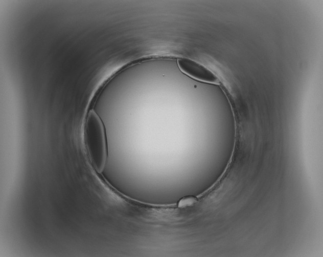 X0000110771285200906221135