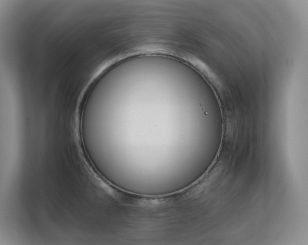 X0000110771286200906221135