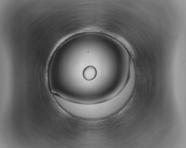 X0000110771288200906221135