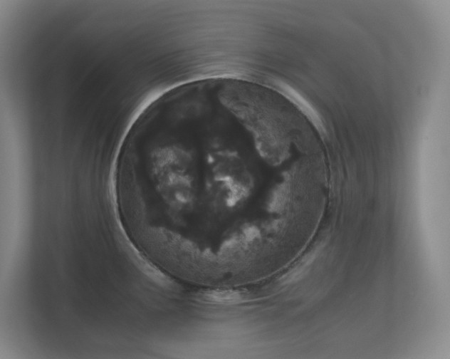 X0000110771291200906221135