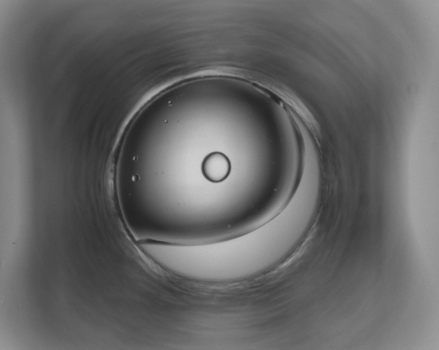 X0000110771292200906221134