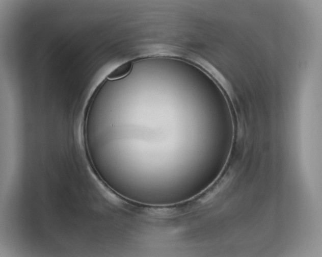 X0000110771293200906221134