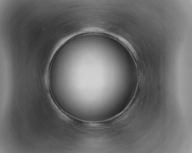 X0000110771295200906221134