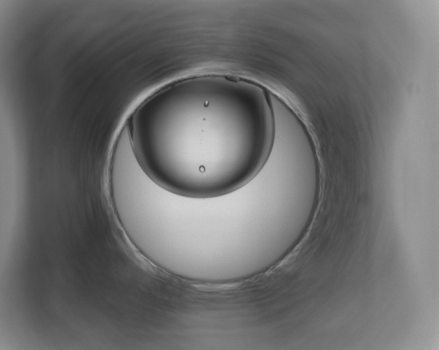 X0000110771296200906221134