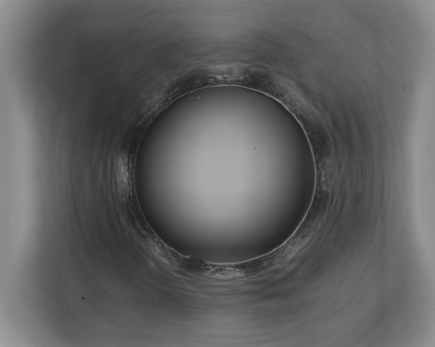 X0000110771298200906221134