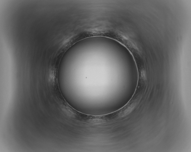 X0000110771300200906221134