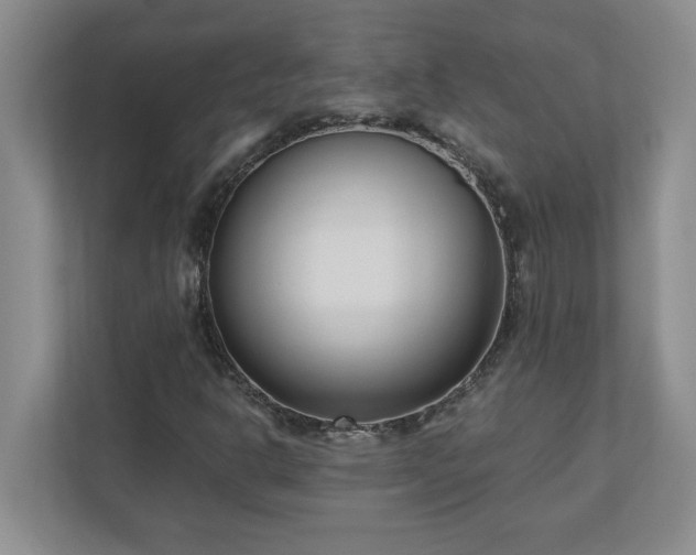 X0000110771302200906221134