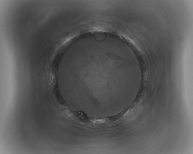 X0000110771303200906221134