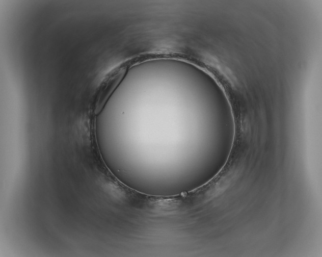 X0000110771304200906221134