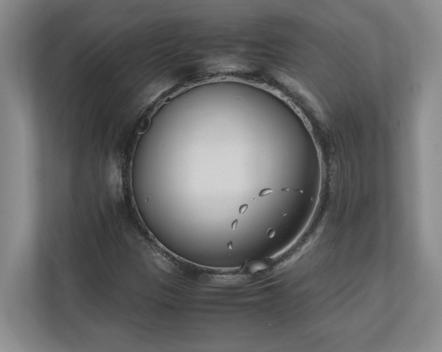 X0000110771305200906221134