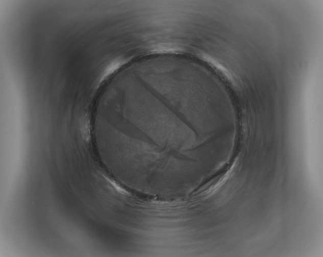 X0000110771306200906221134